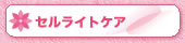 �Z�����C�g�P�A