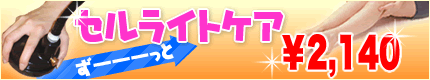�Z�����C�g�P�A